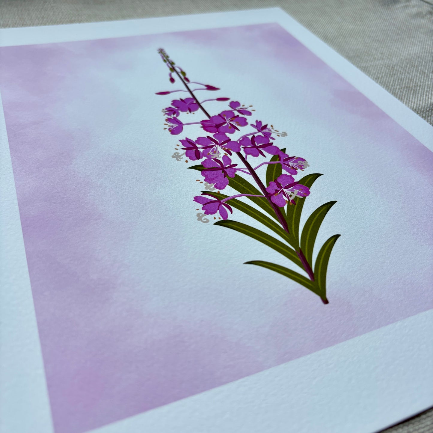 8x10 Art Print - Fireweed Flower