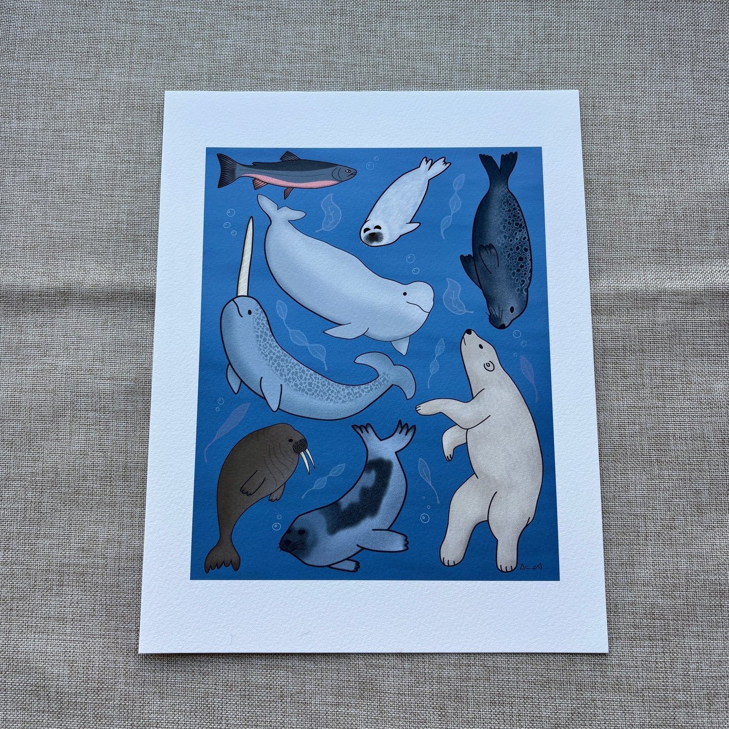 8x10 Art Print - Arctic Sea Animals