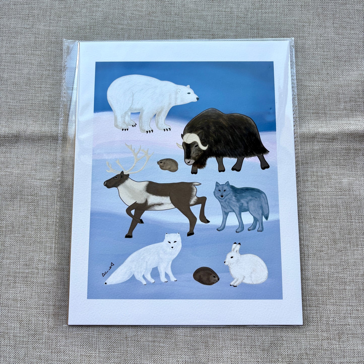 8x10 Art Print - Arctic Land Animals