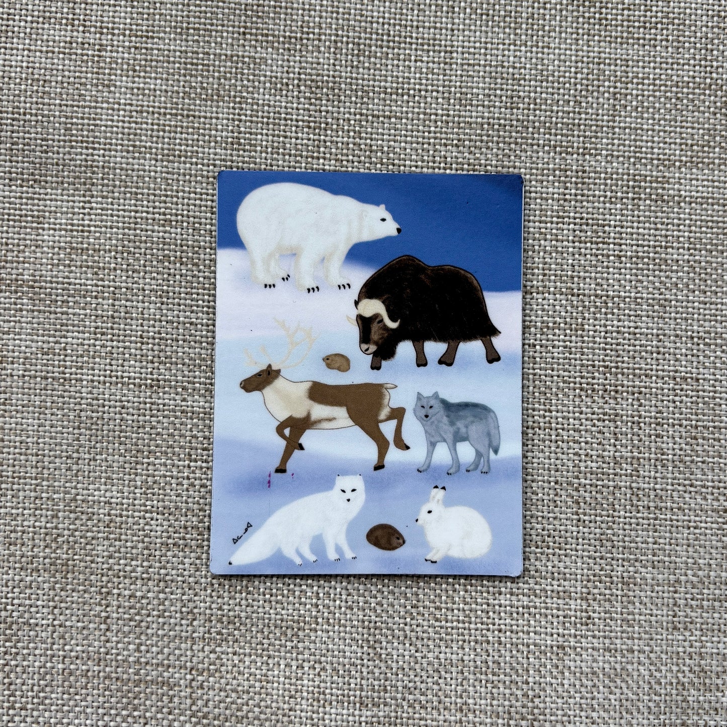 Printed Magnet - Arctic Animals