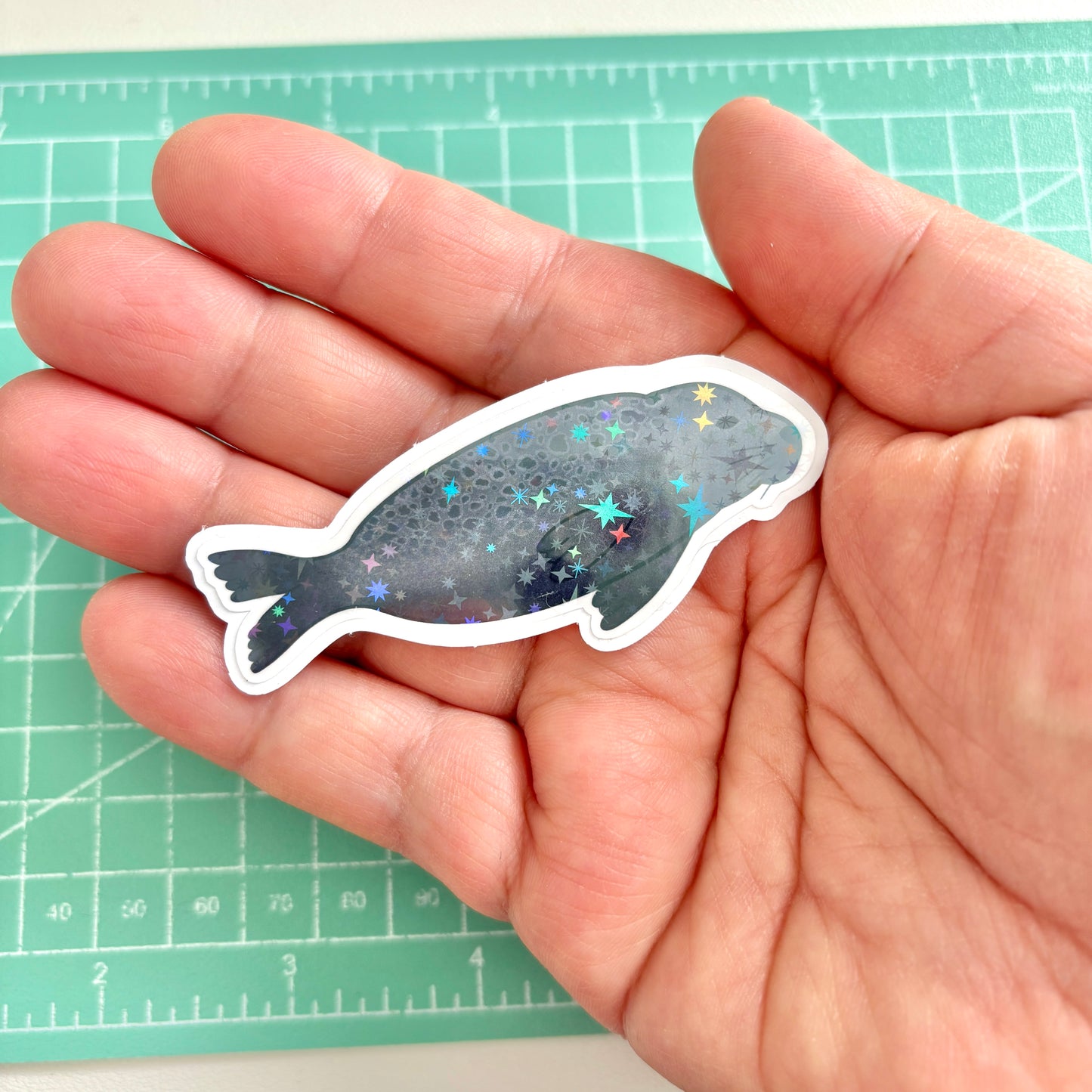 Ringed Seal Sticker