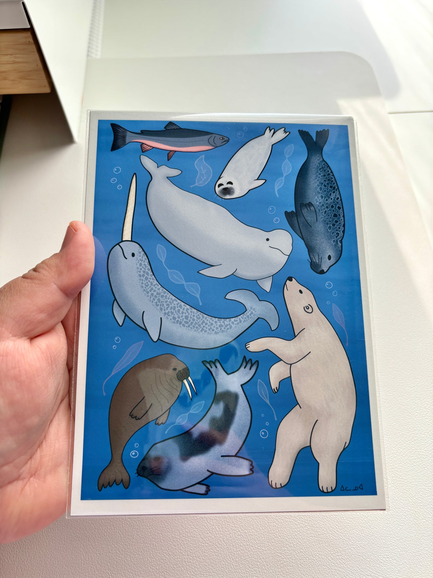 5x7 Art Print - Arctic Sea Animals