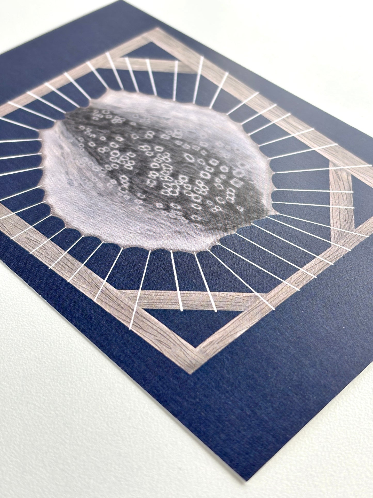 Art Postcard - Sealskin Frame