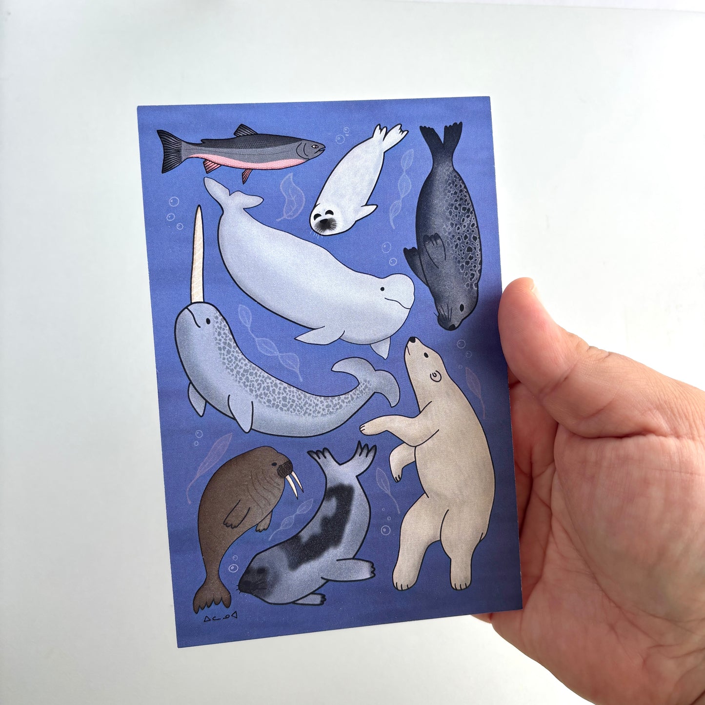 Art Postcard - Arctic Sea Animals