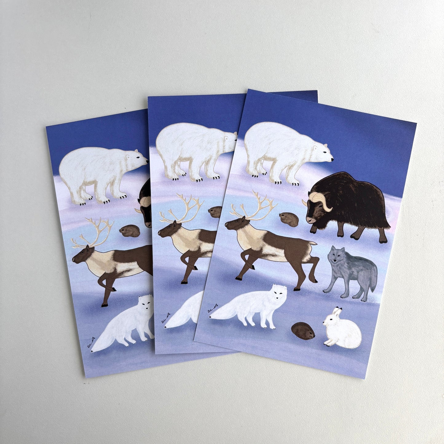 Art Postcard - Arctic Land Animals