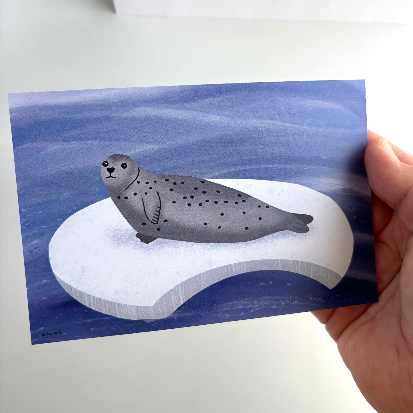Art Postcard - Seal on Ice