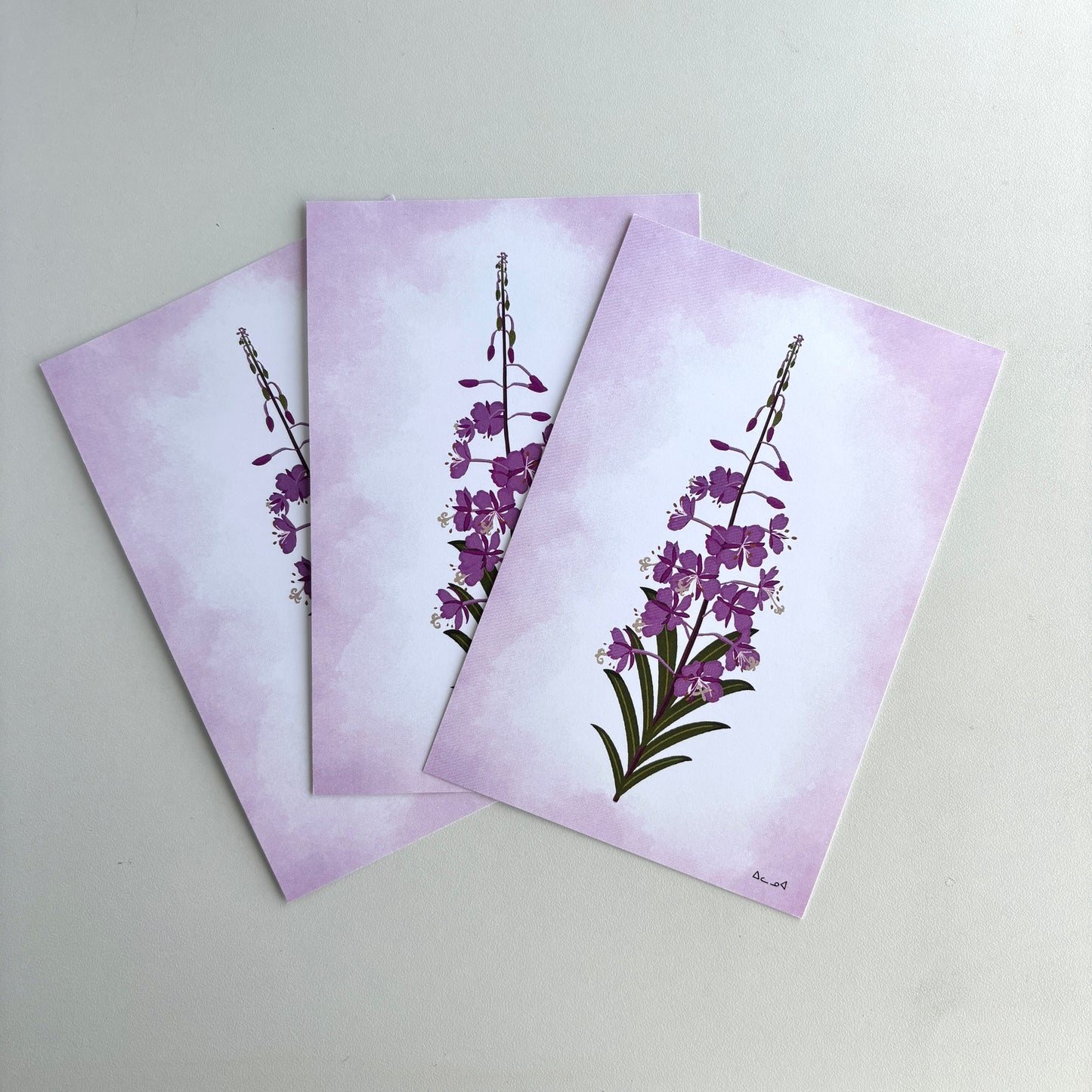Art Postcard - Fireweed