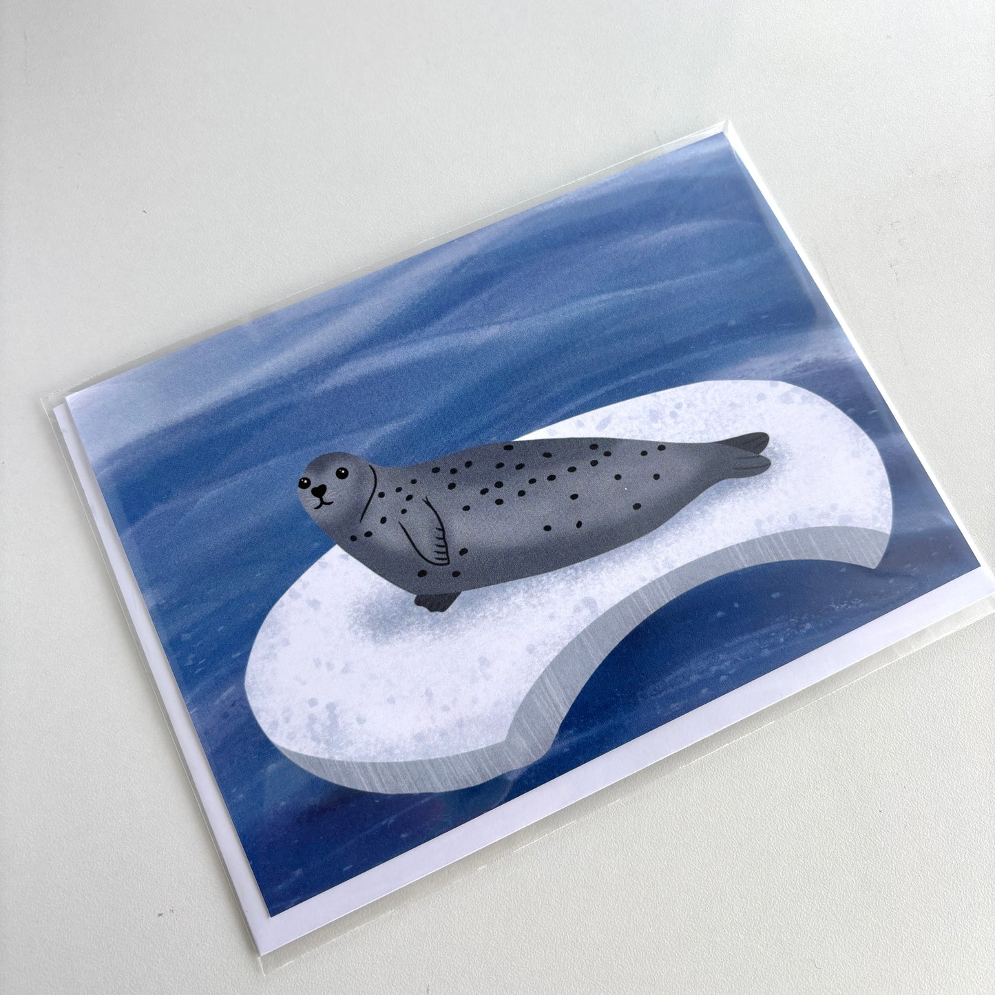 Seal on Ice 5x7 Greeting Card