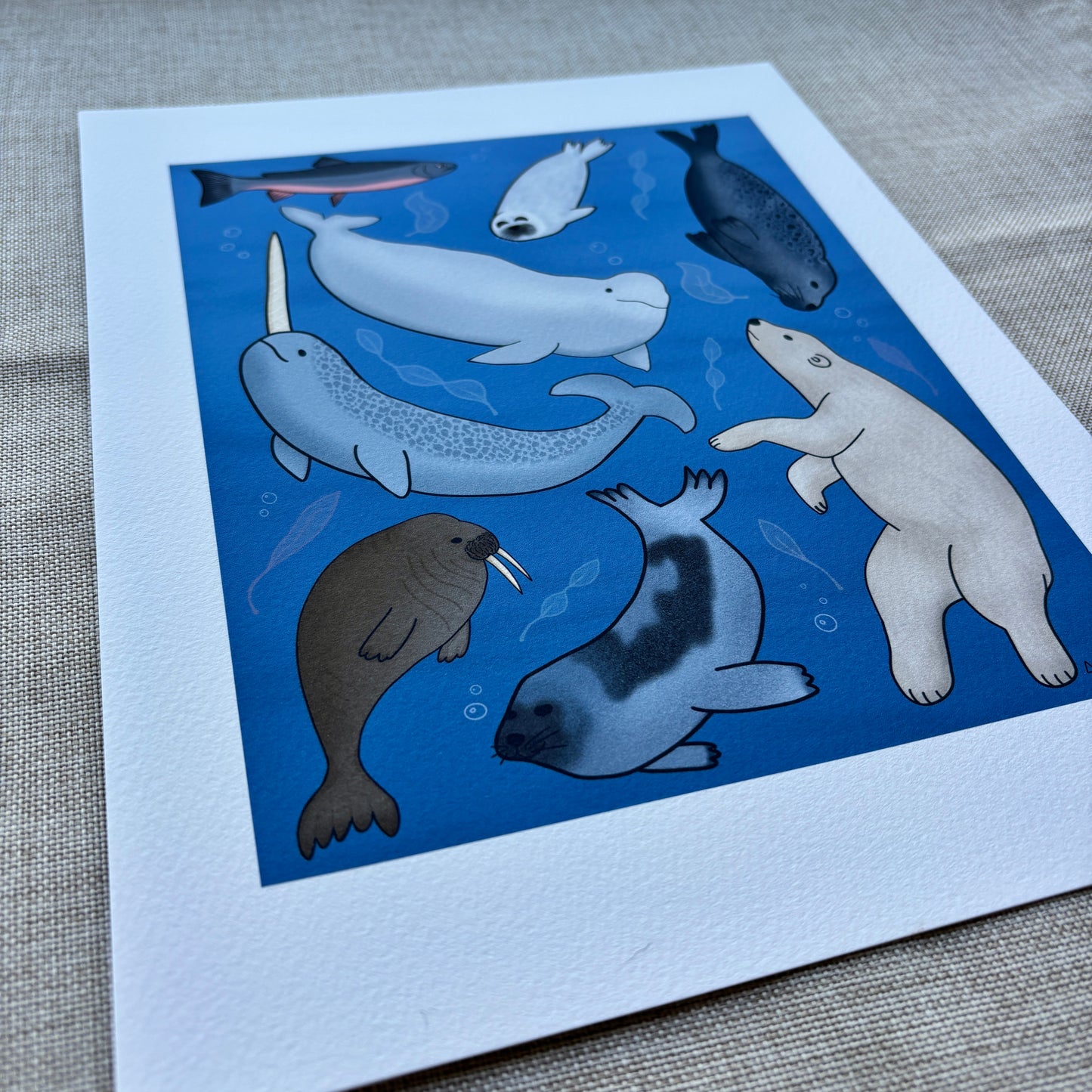 8x10 Art Print - Arctic Sea Animals