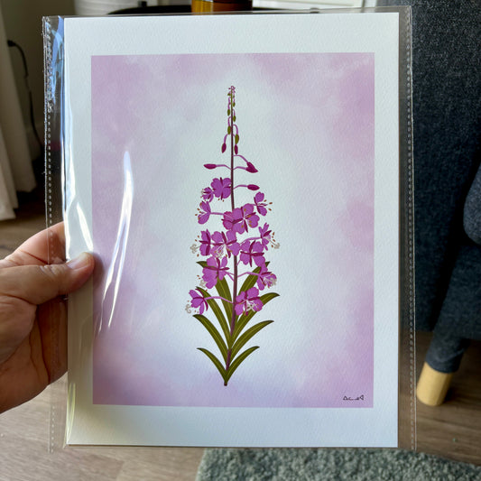 8x10 Art Print - Fireweed Flower