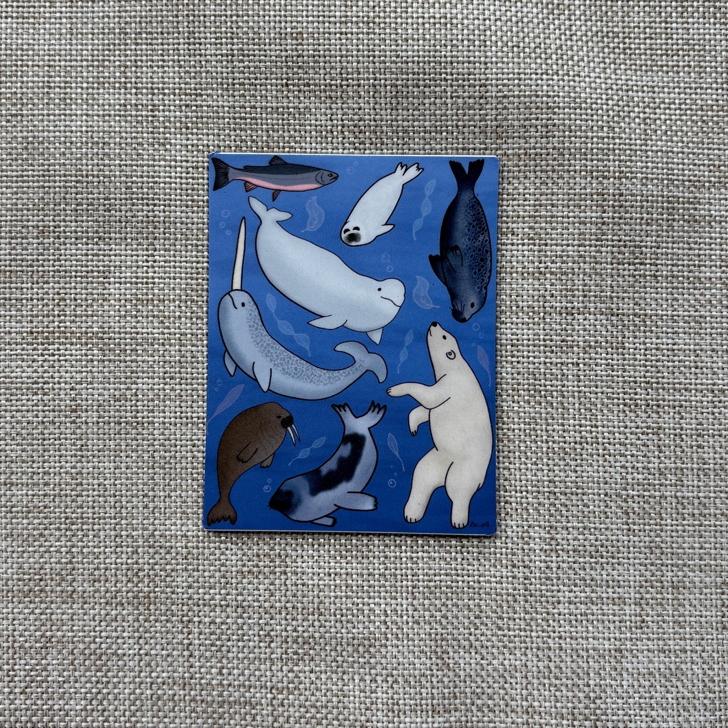 Printed Magnet - Arctic Sea Animals