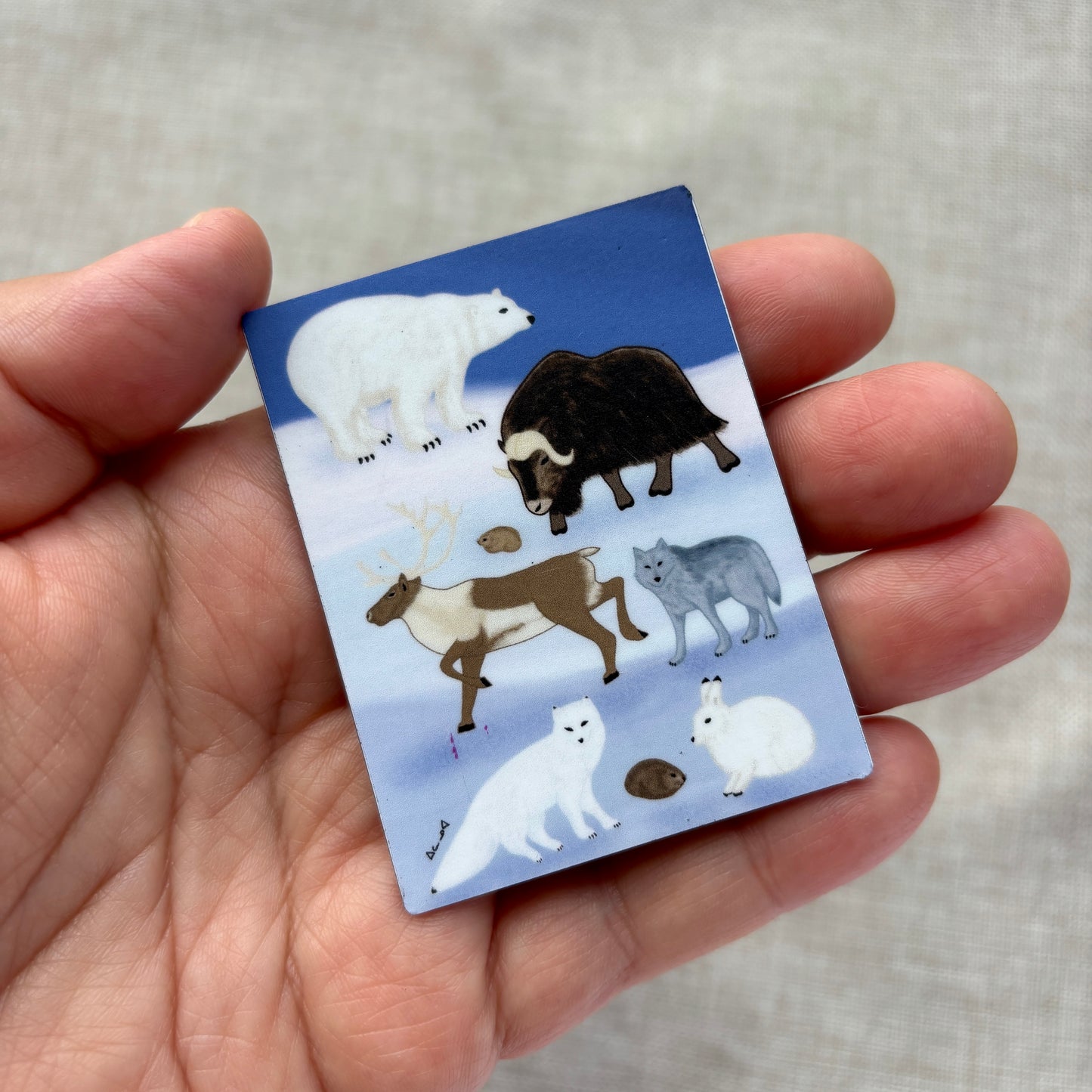 Printed Magnet - Arctic Animals