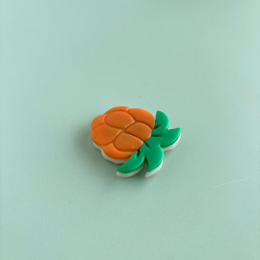 Aqpik Magnet