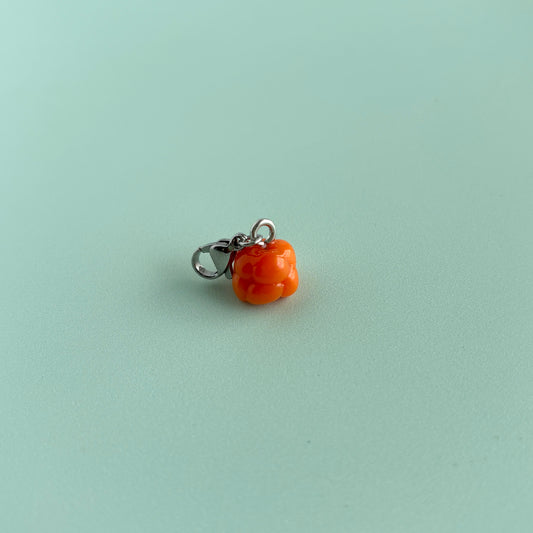 Aqpik Charm
