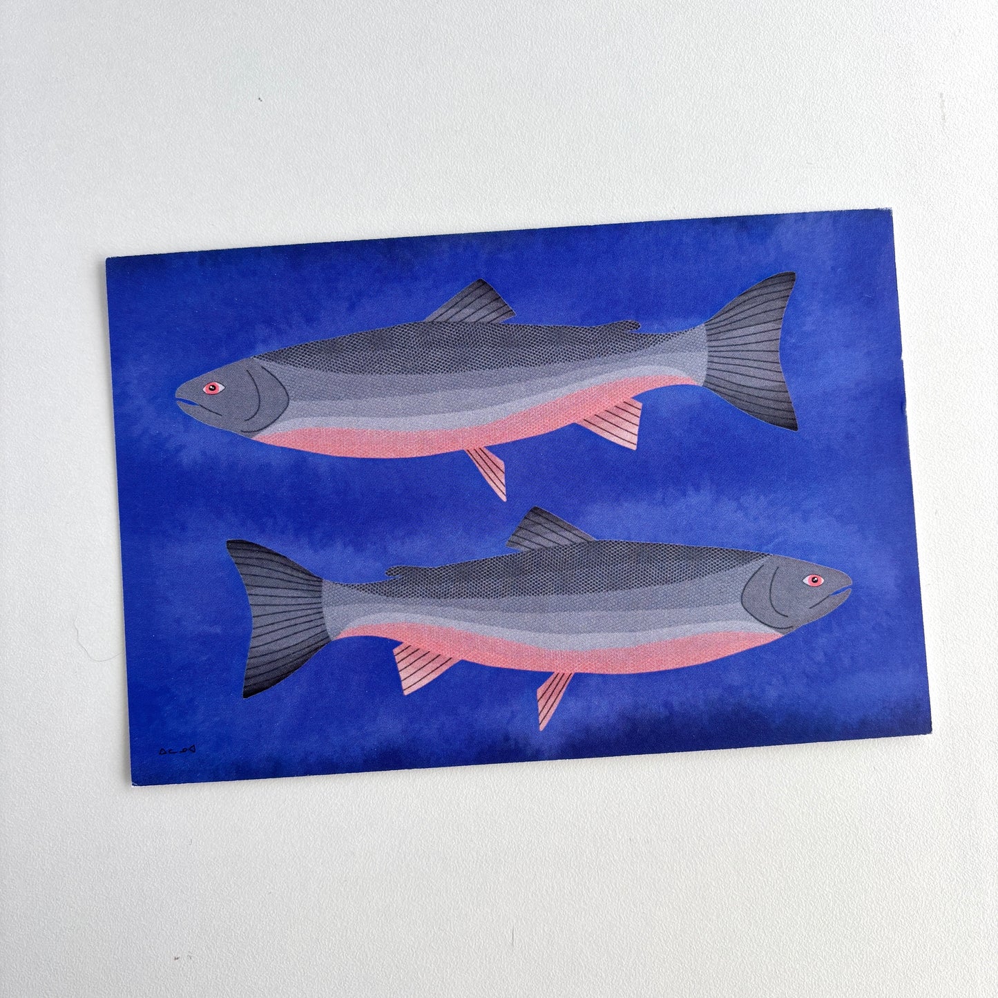 Art Postcard - Arctic Char