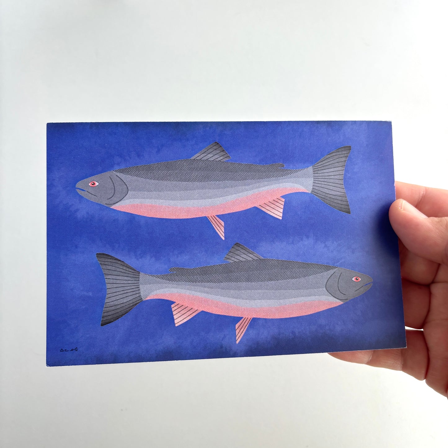 Art Postcard - Arctic Char