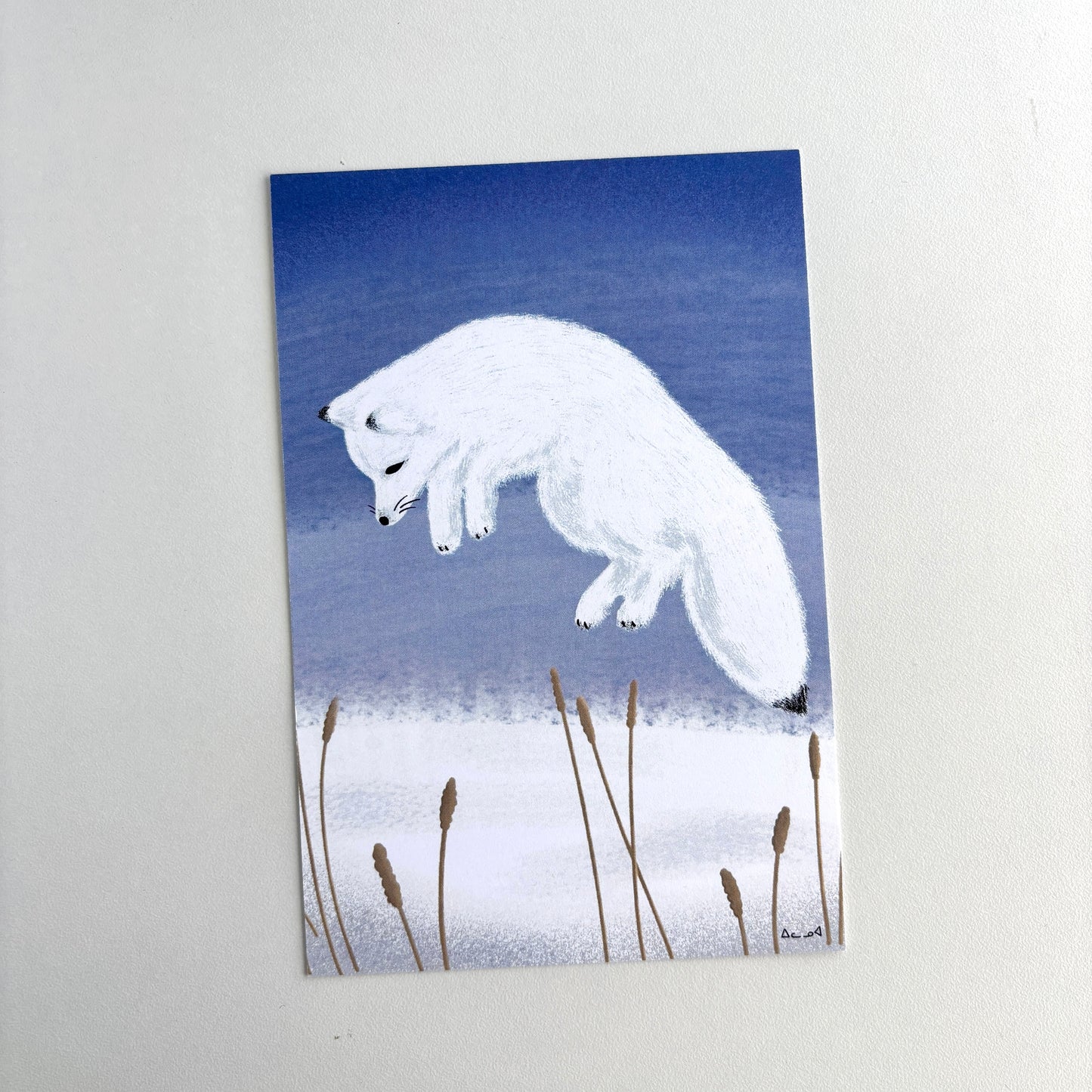 Art Postcard - Arctic Fox