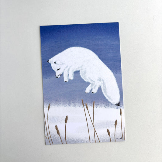 Art Postcard - Arctic Fox