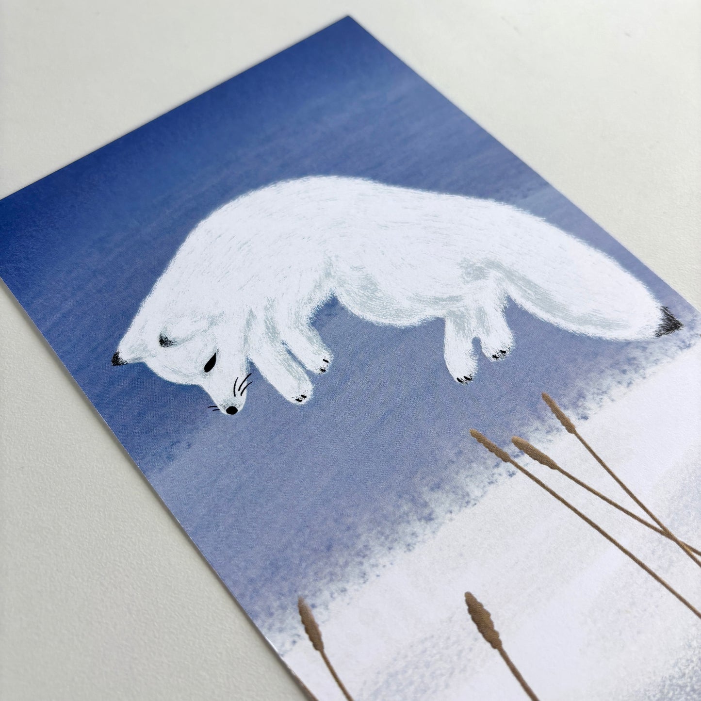 Art Postcard - Arctic Fox