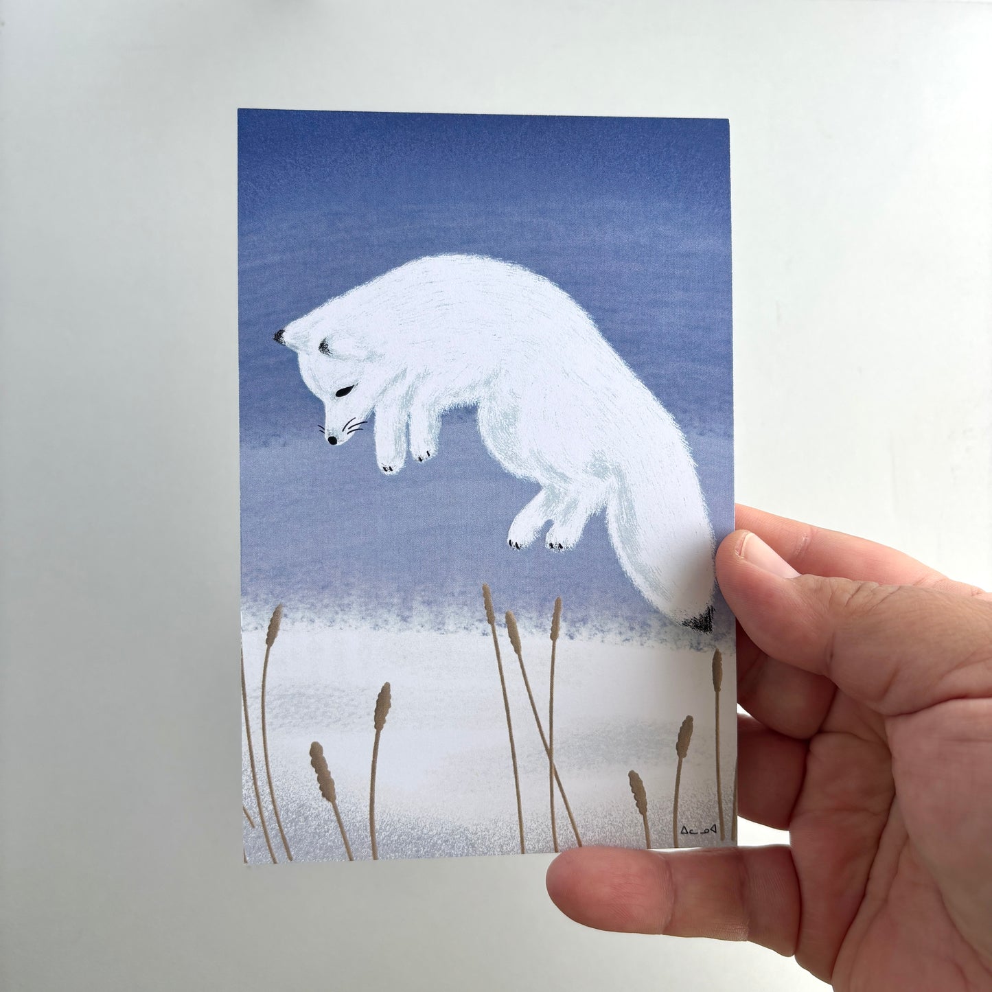 Art Postcard - Arctic Fox