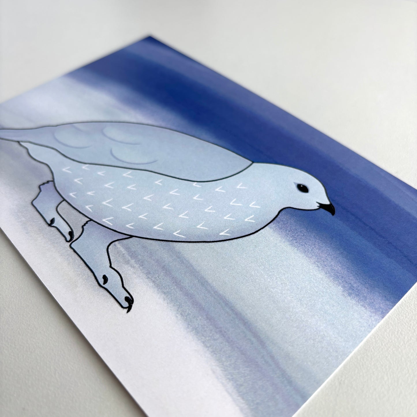 Art Postcard - Ptarmigan