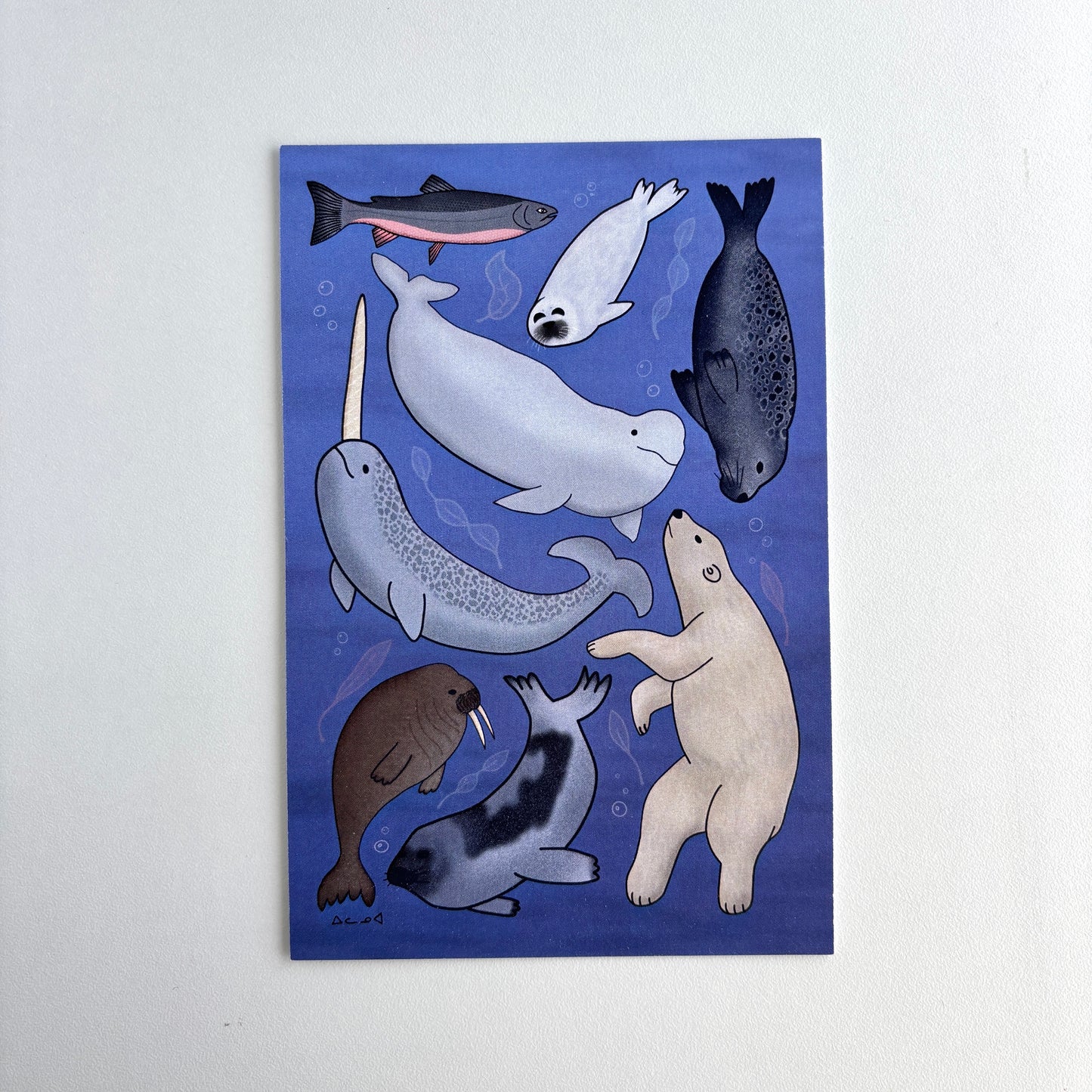 Art Postcard - Arctic Sea Animals