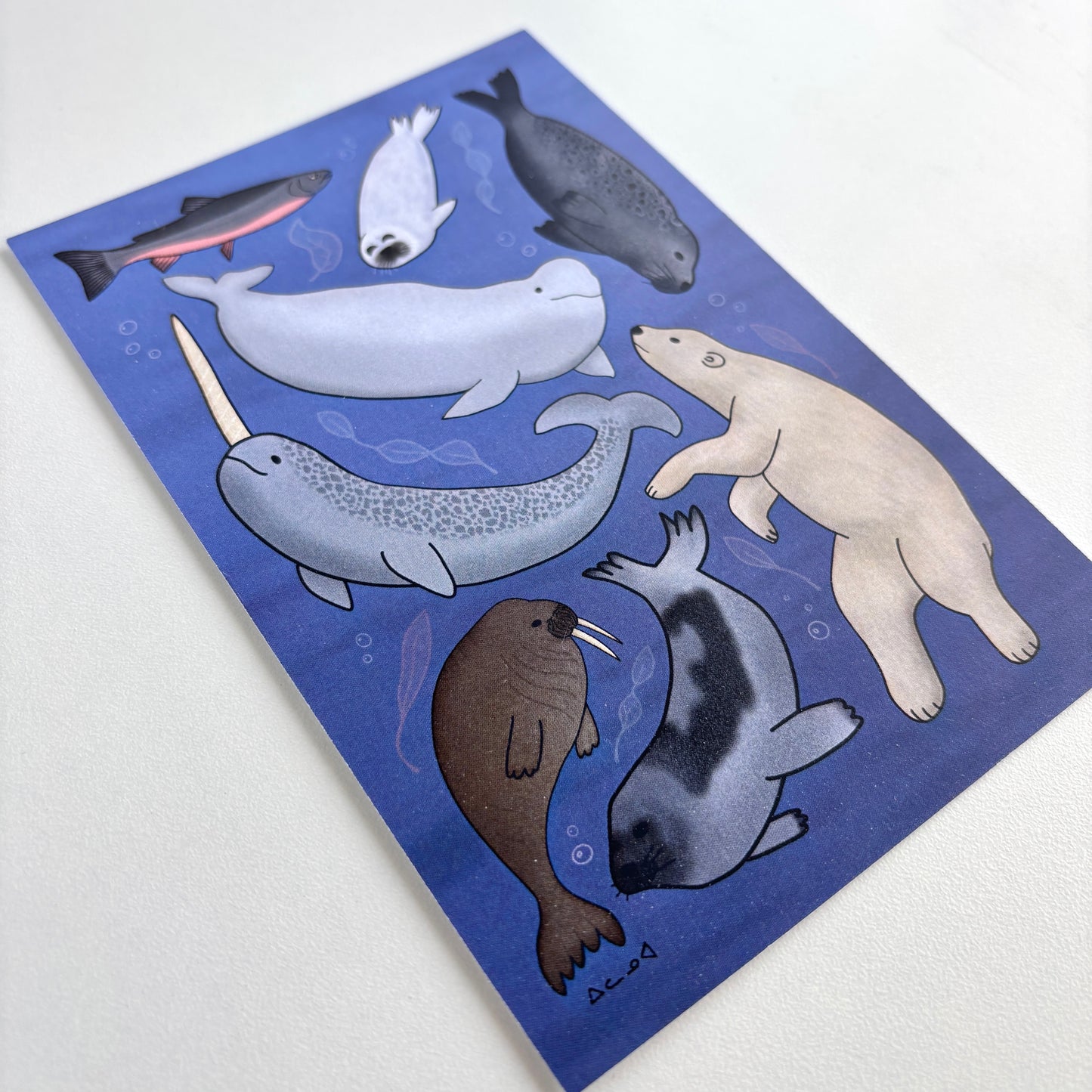 Art Postcard - Arctic Sea Animals
