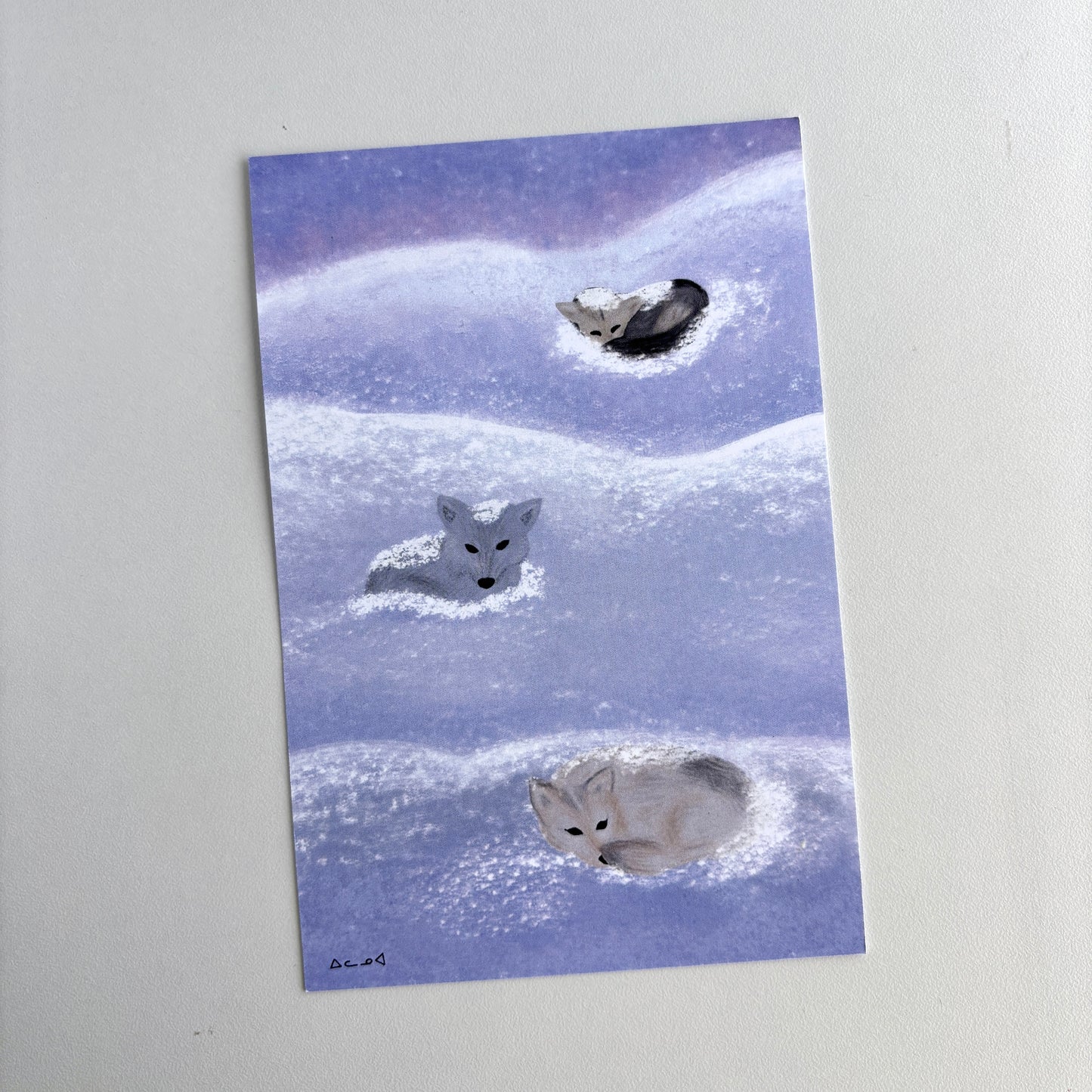 Art Postcard - Huskies in Snow