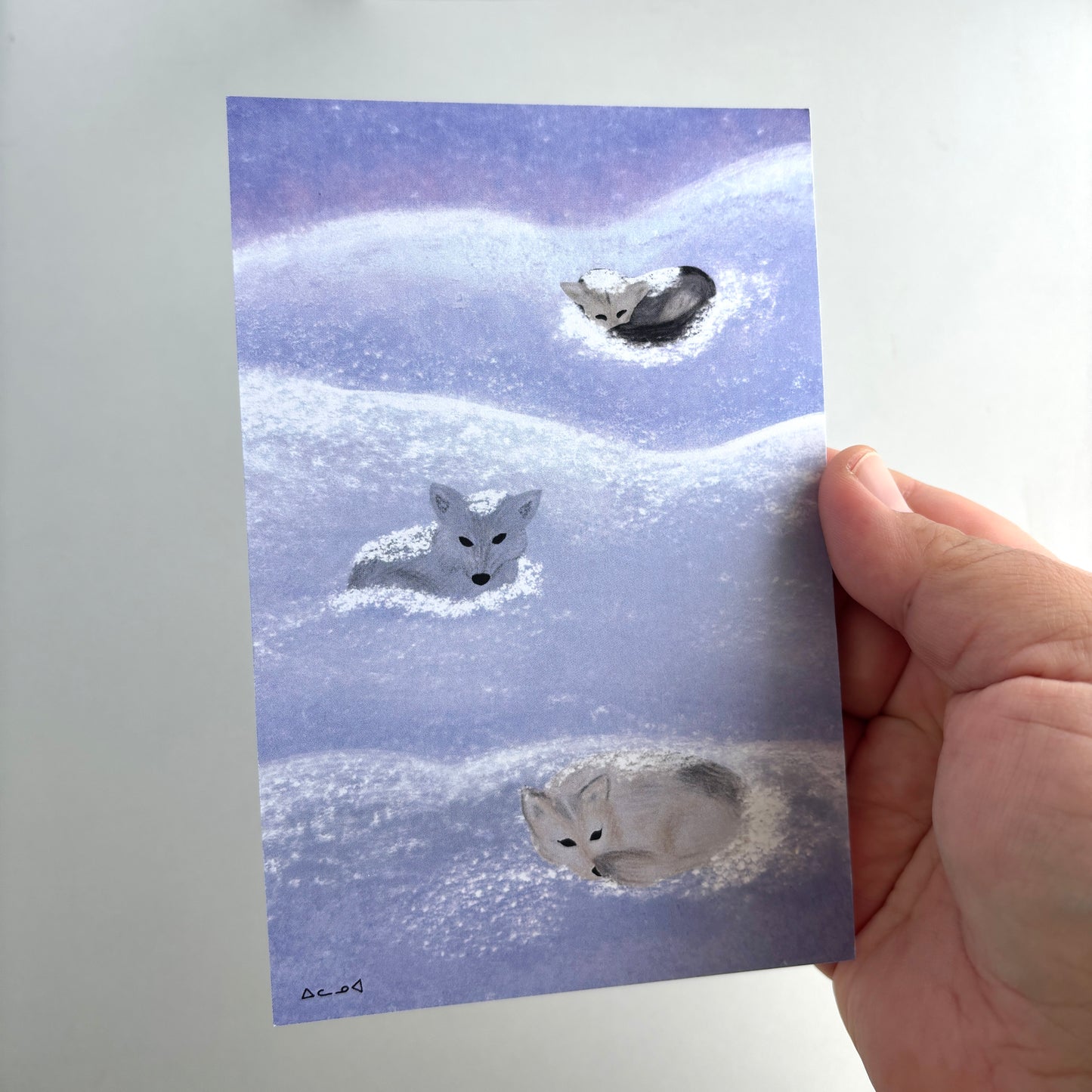 Art Postcard - Huskies in Snow