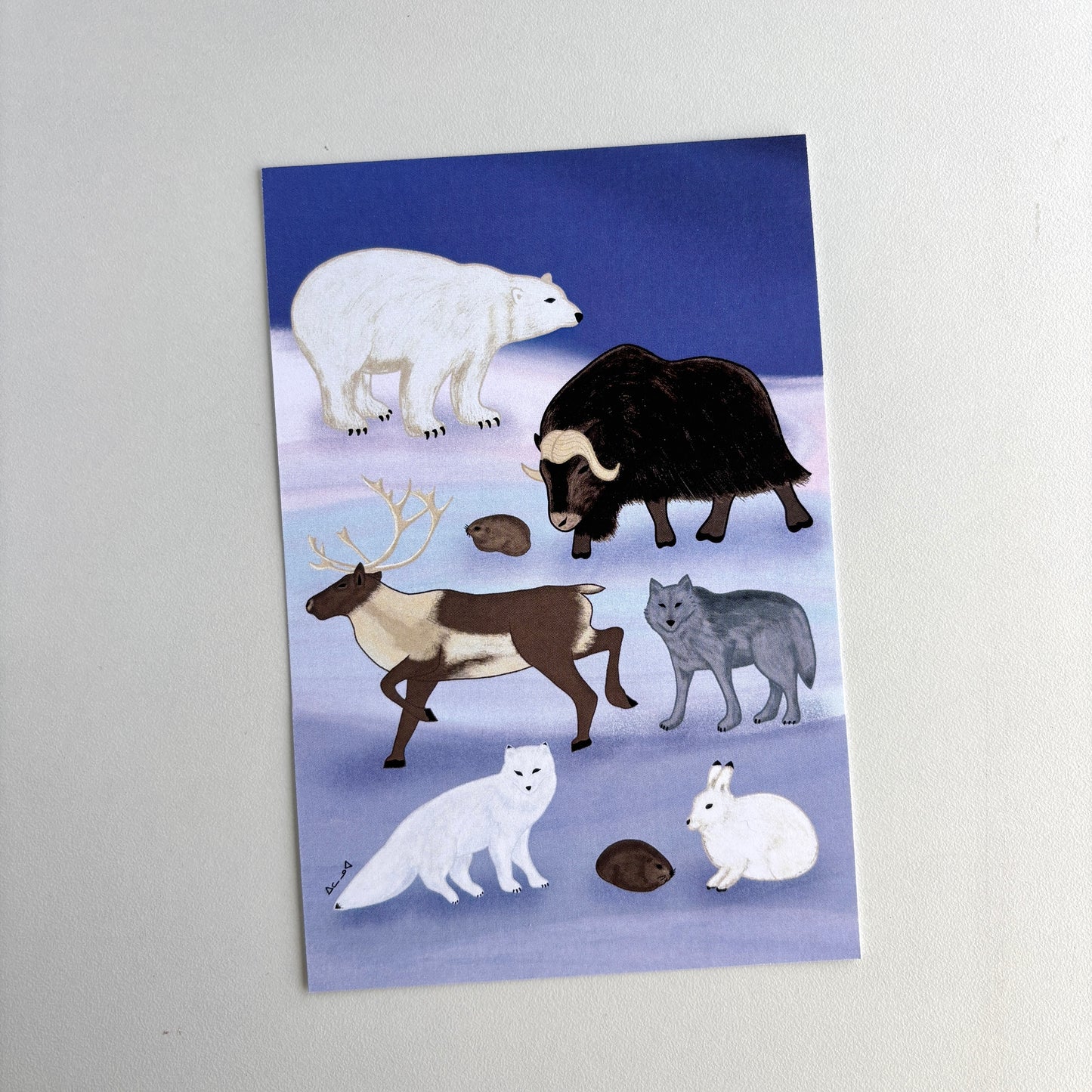Art Postcard - Arctic Land Animals
