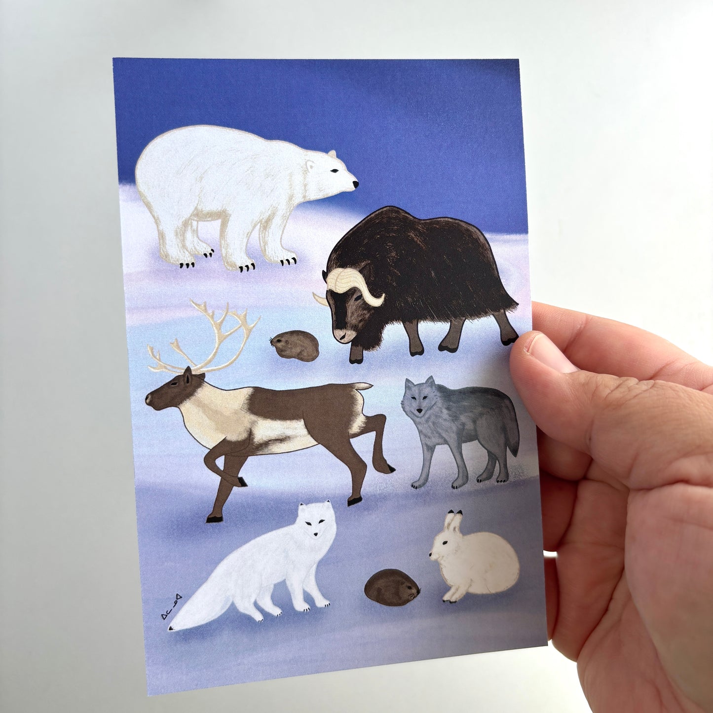 Art Postcard - Arctic Land Animals