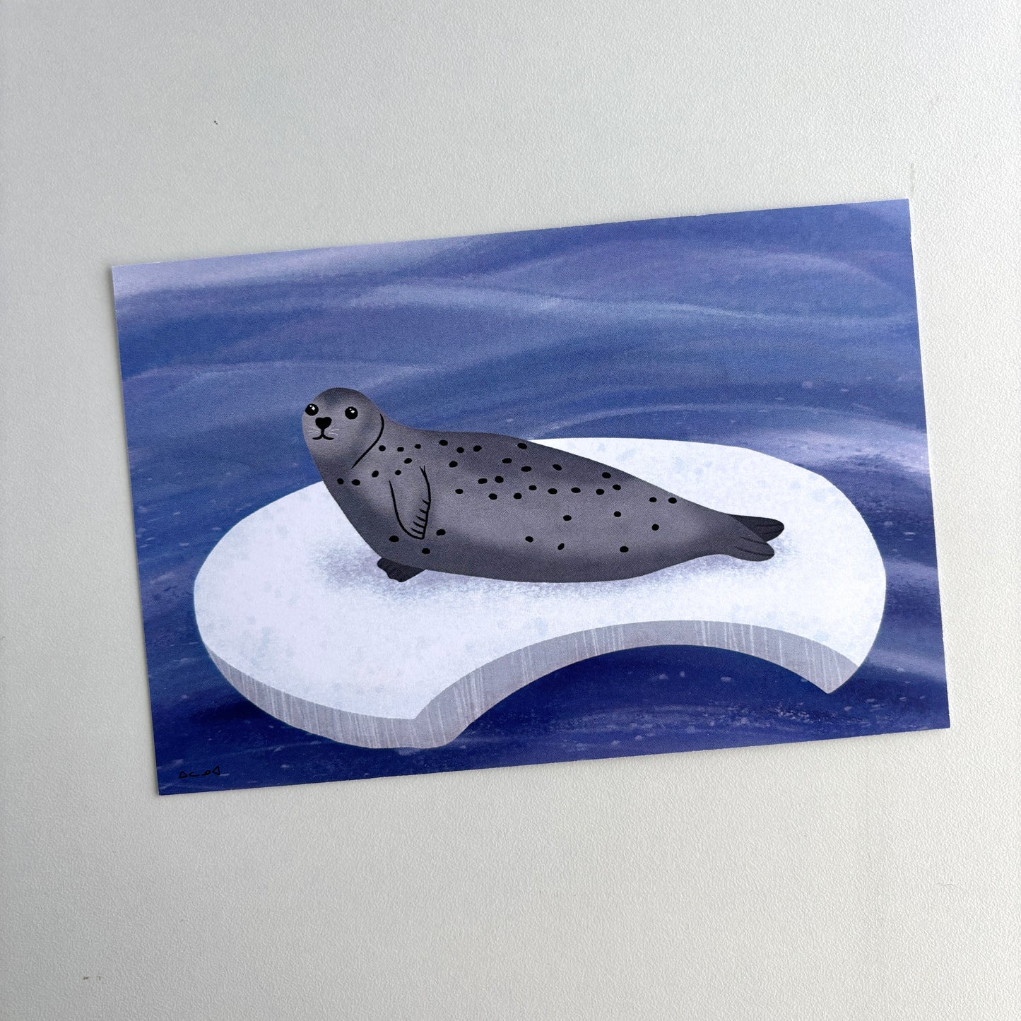 Art Postcard - Seal on Ice