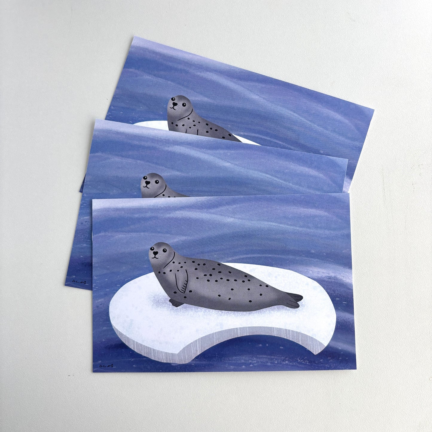 Art Postcard - Seal on Ice