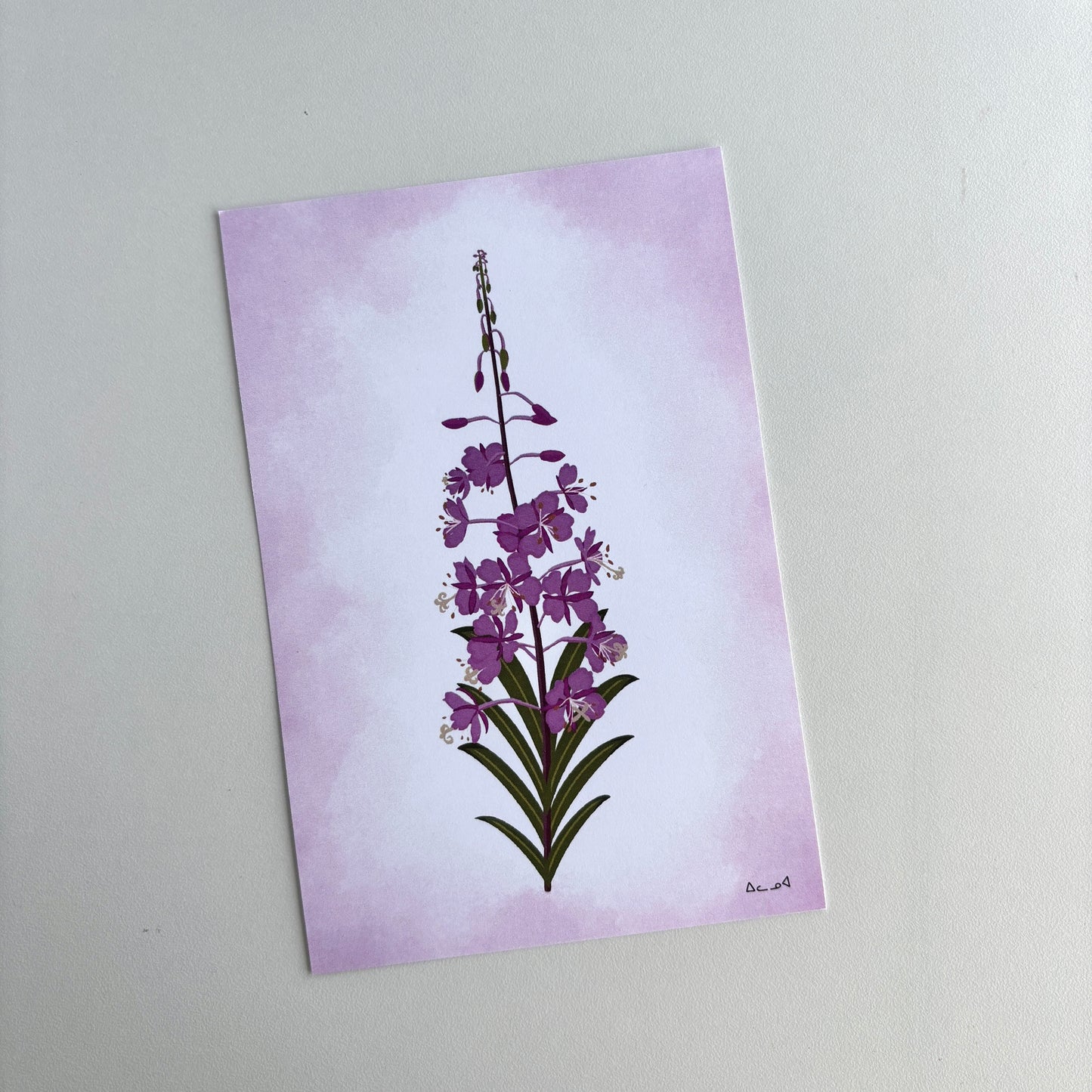 Art Postcard - Fireweed