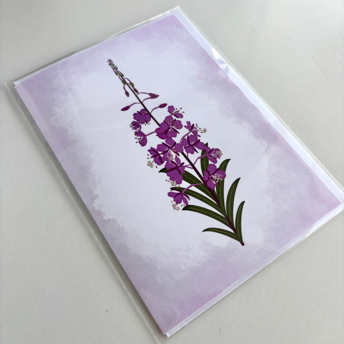 Fireweed 5x7 Greeting Card